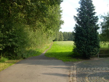 2008, Leihsings-Pad
